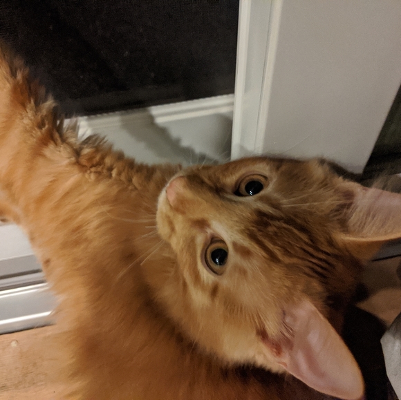 Lamp Cheap - Picture 4 of 8